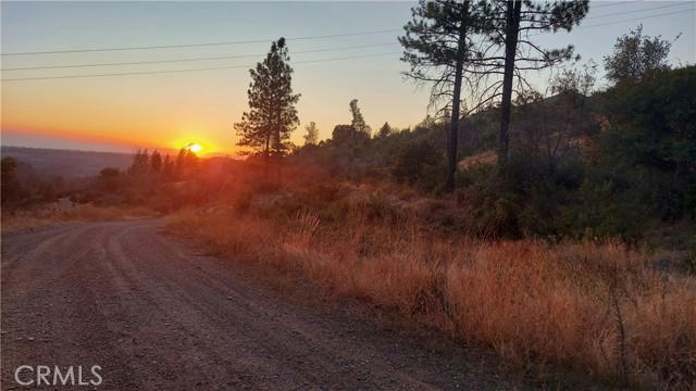 12059 ANDY MOUNTAIN RD, OROVILLE, CA 95965 - Image 1