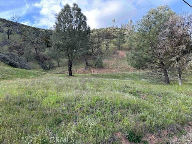 1982 NEW LONG VALLEY RD, CLEARLAKE OAKS, CA 95423, photo 1 of 5