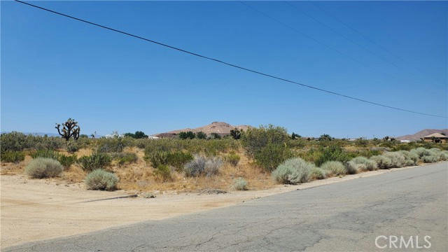 0 SWEETSER RD & 47TH ST WEST, ROSAMOND, CA 93560 - Image 1