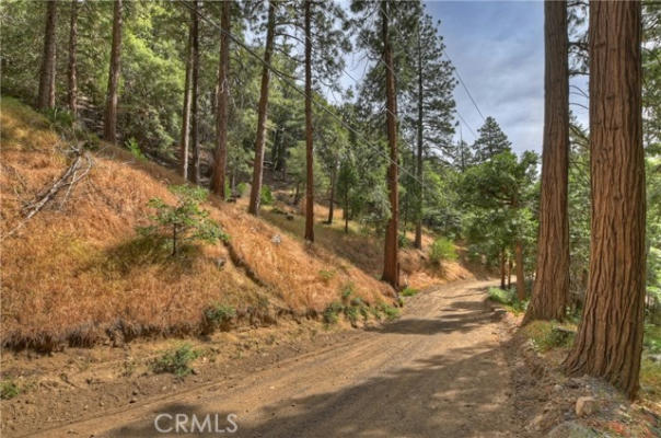 110 LOTS 110-123 BURNT MILL CANYON ROAD, CEDARPINES PARK, CA 92322, photo 3 of 13