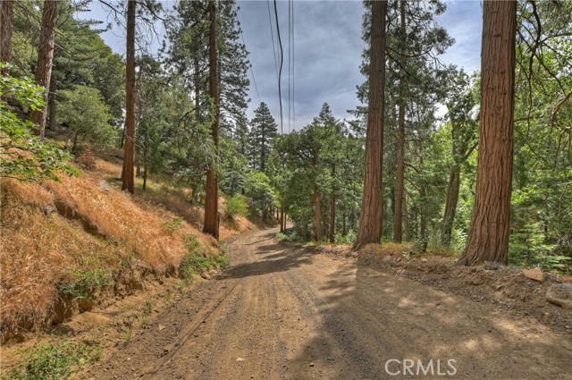 110 LOTS 110-123 BURNT MILL CANYON ROAD, CEDARPINES PARK, CA 92322, photo 1 of 13