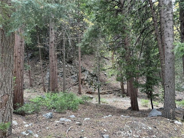0 CANYON DRIVE, FOREST FALLS, CA 92339, photo 1 of 3