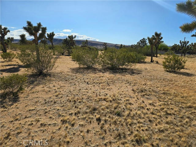 0 LONG VIEW, YUCCA VALLEY, CA 92284, photo 1 of 18