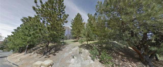 30067 PIXIE DR, RUNNING SPRINGS, CA 92382 - Image 1