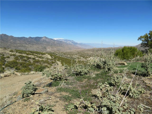343 LOT # 343 HWY 74, MOUNTAIN CENTER, CA 92561, photo 1 of 22