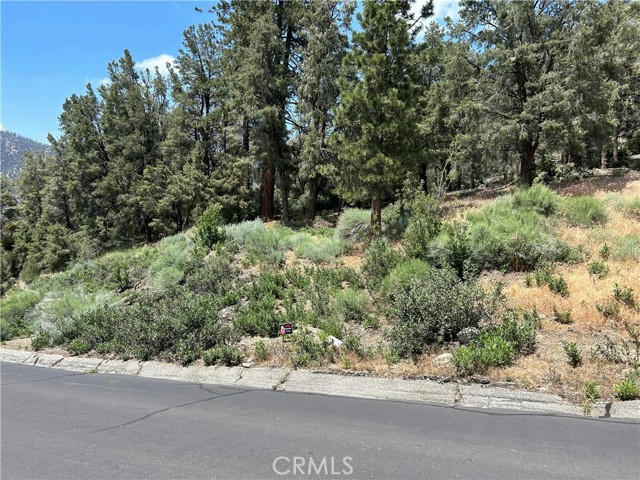 2208 WOODLAND DR, PINE MOUNTAIN CLUB, CA 93222, photo 1 of 6