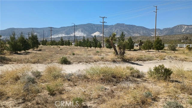 0 CA-18, LUCERNE VALLEY, CA 92356, photo 3 of 10