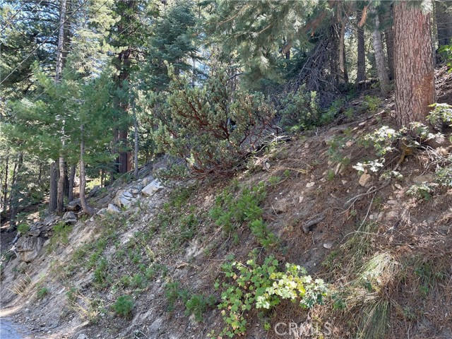 28 FOREST LANE, TWIN PEAKS, CA 92391, photo 1 of 5