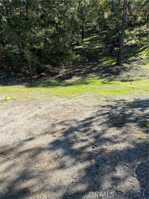 711 ORIOLE RD, WRIGHTWOOD, CA 92397, photo 1