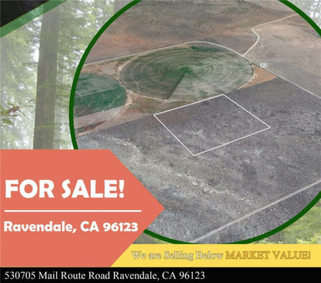 530-705 MAIL ROUTE RD, RAVENDALE, CA 96123, photo 2 of 12