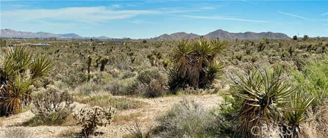 0 MOUNTAIN VIEW, LUCERNE VALLEY, CA 92356, photo 3 of 4