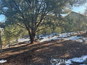 1604 LINDEN DR, PINE MOUNTAIN CLUB, CA 93222, photo 1 of 3